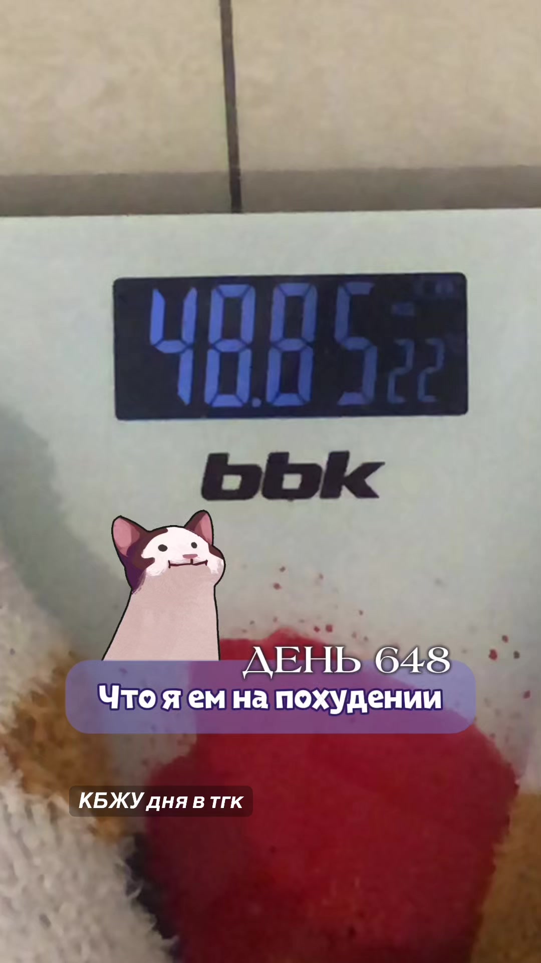 @Тгк: catislosingweight