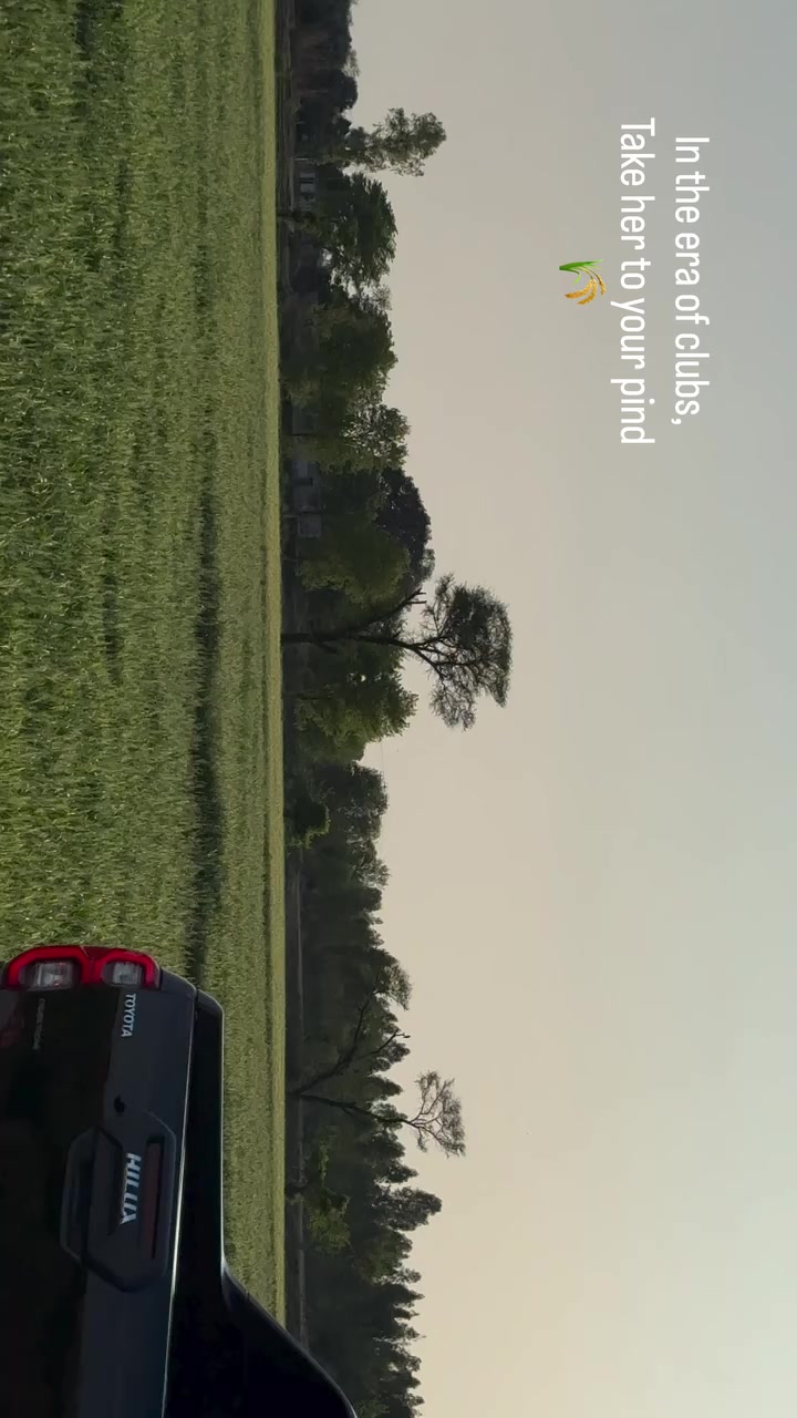 @Malik Wāseem