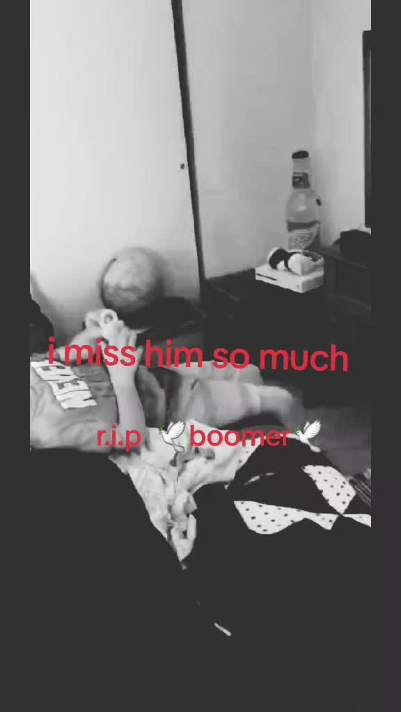 @GiggleShitter67