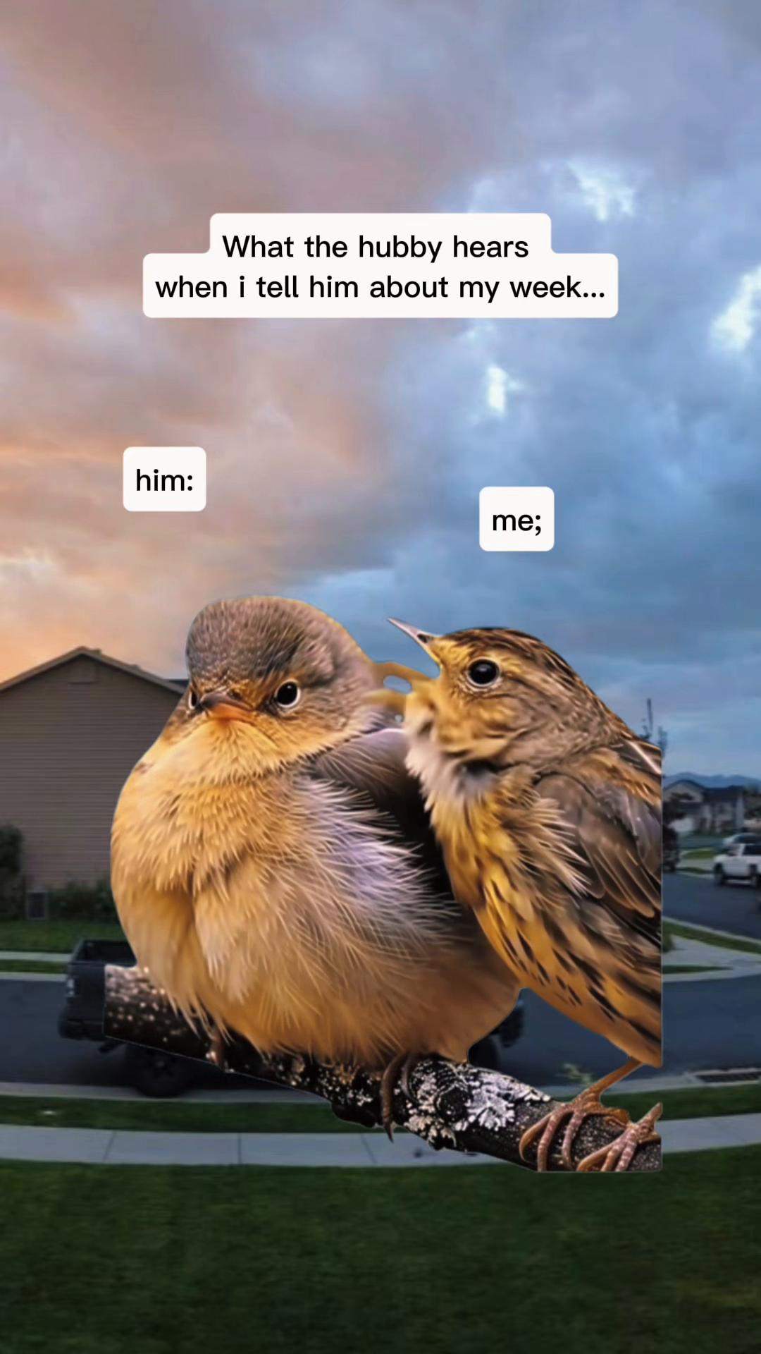@CoolestCMC