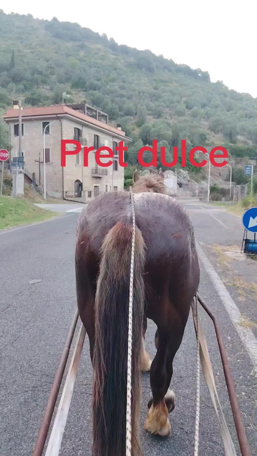 @Olaru Alex