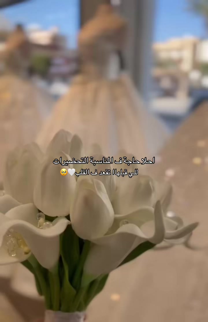 @البنت ماتسعاش ورا حد
