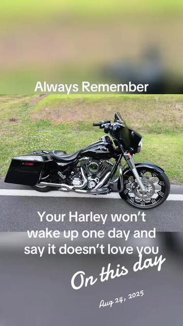 @🏁 ⚡️Dogbreath54 ⚡️🏁