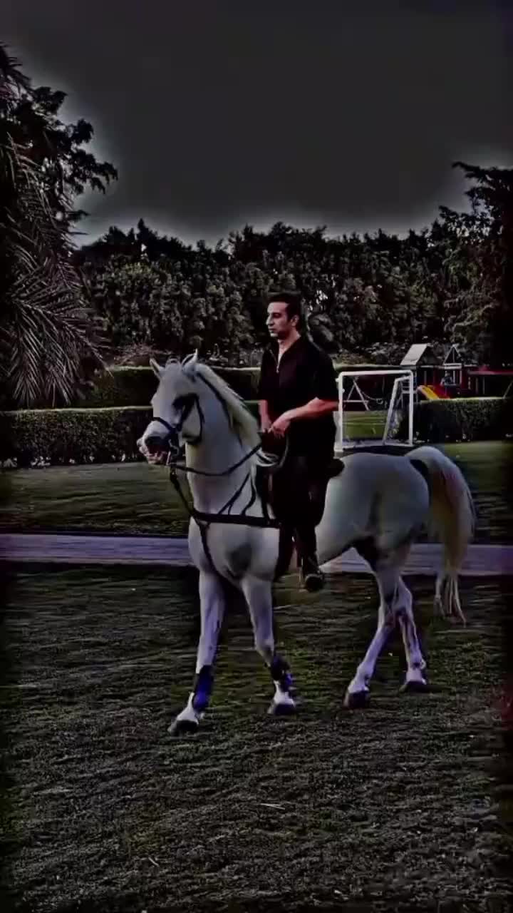 @⫸𝙈𝙞𝙍𝙯𝘼✫𝙎𝙖𝙍𝙆𝙖𝙍✫⫷