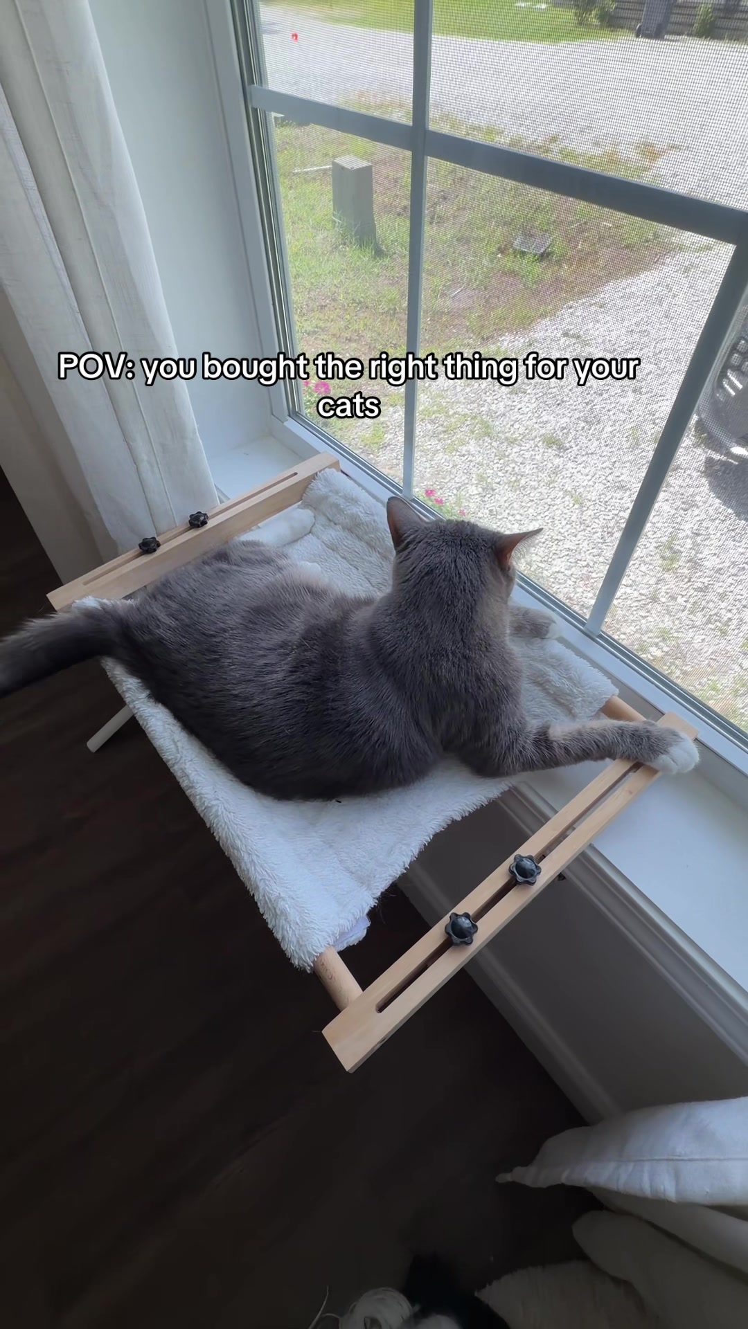 @sirpapiiiiii