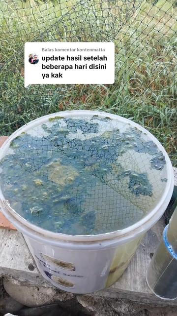 @KONTEN MATTA