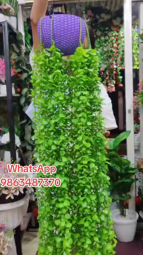 @Flora_p0int-dhumbarahi