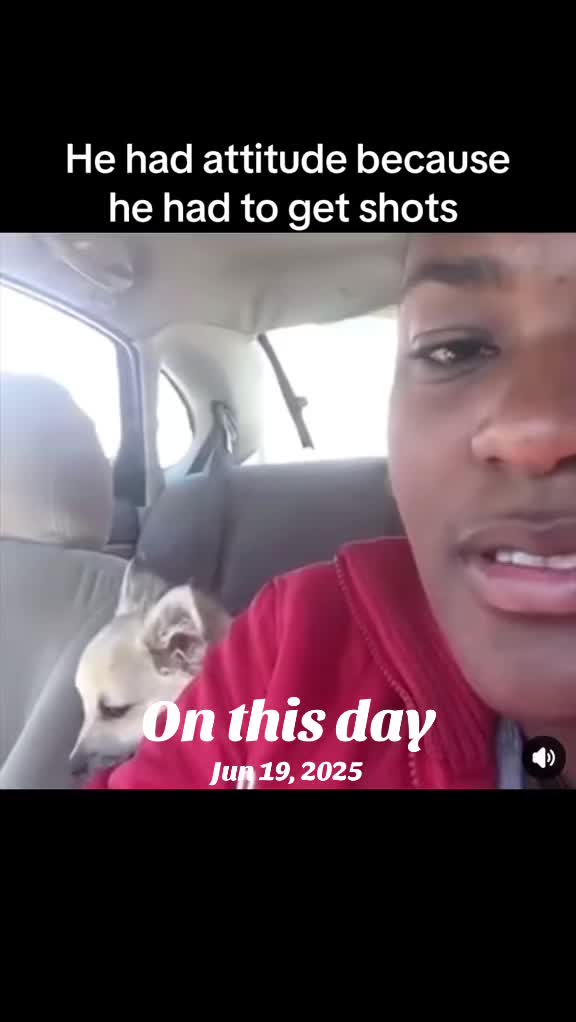 @niecywhat