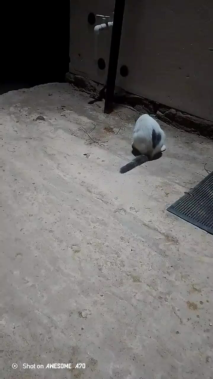 @Серік 04.
