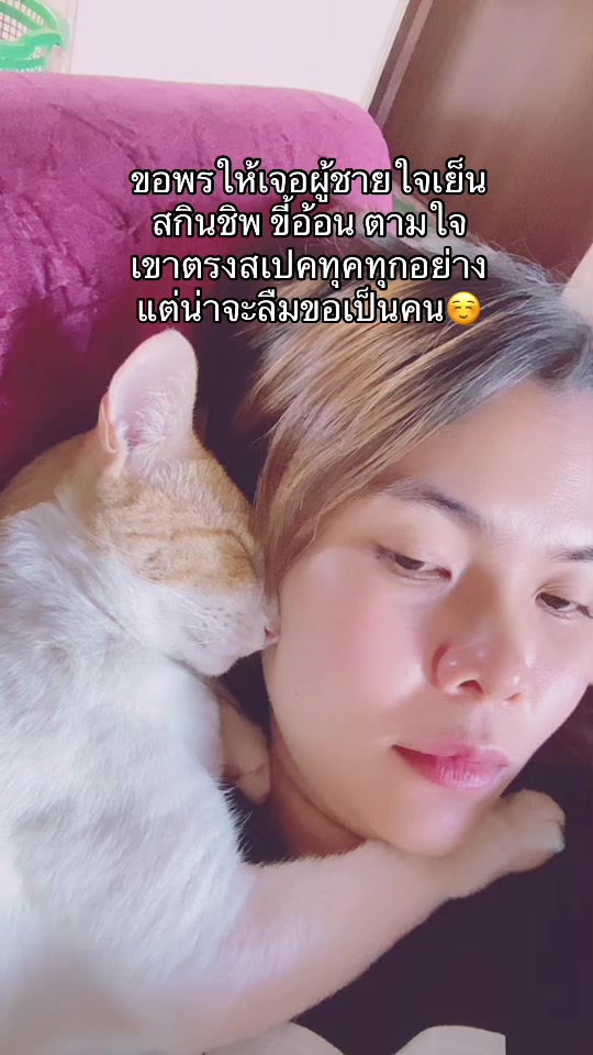 @ใหม่ทาสแมว (ช่องหลัก)