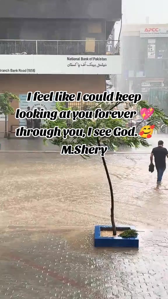 @Shery46