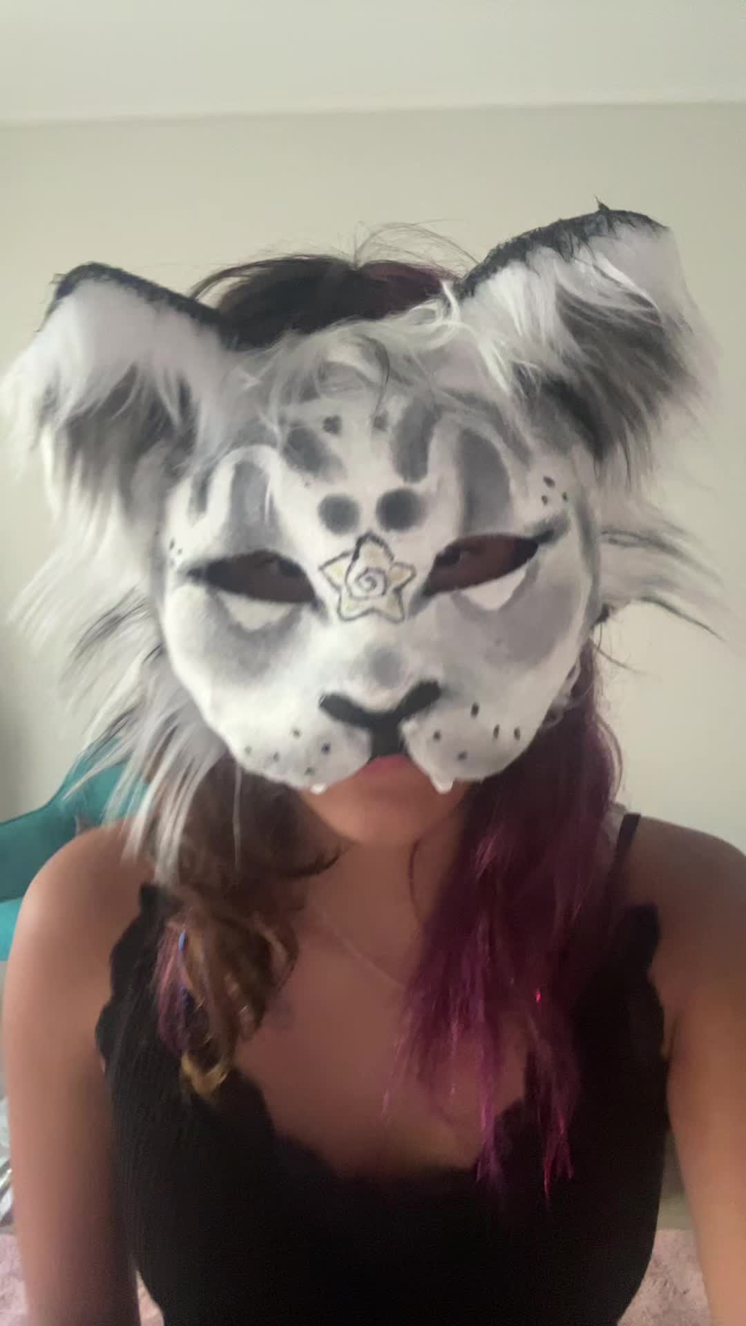 @Kitty >^&bull;^<