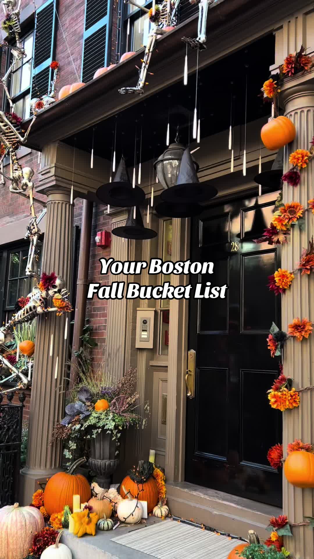 @Meet Boston