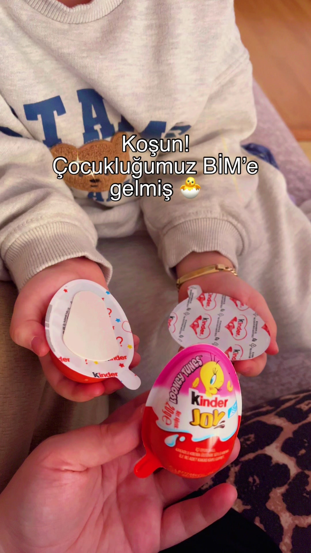@EbrunurŞahinoğullarıDemir