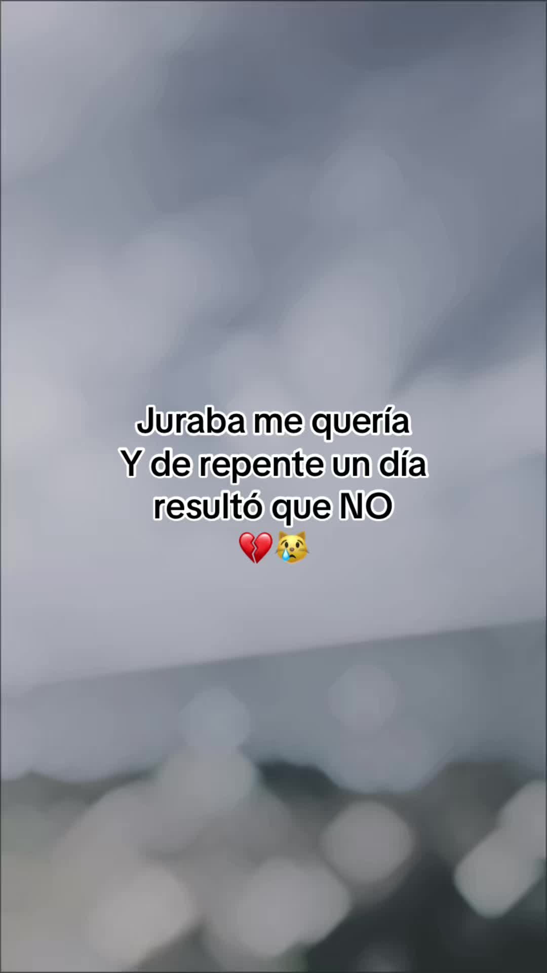 @Flor 🌹 2025 👑
