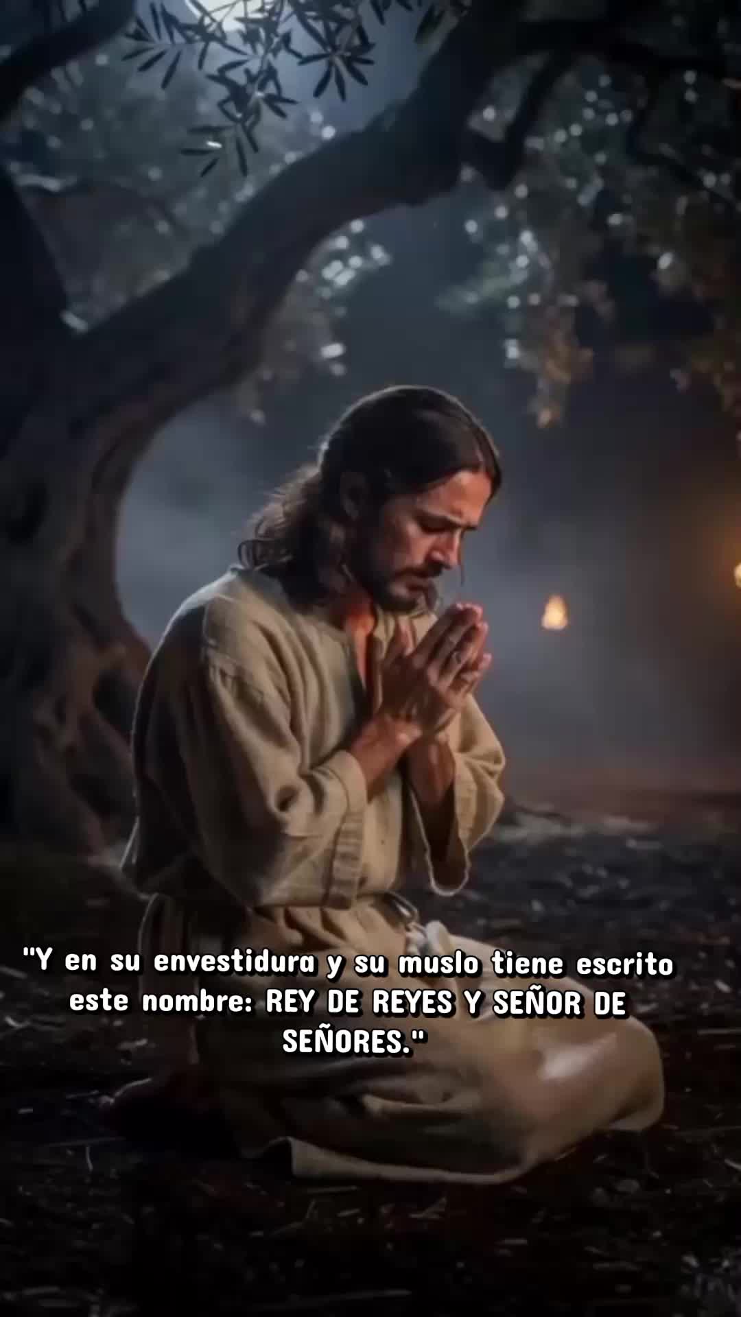 @CARMEN NATURALEZA.