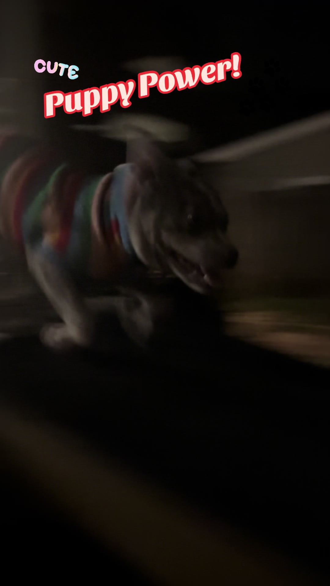 @Human Panther