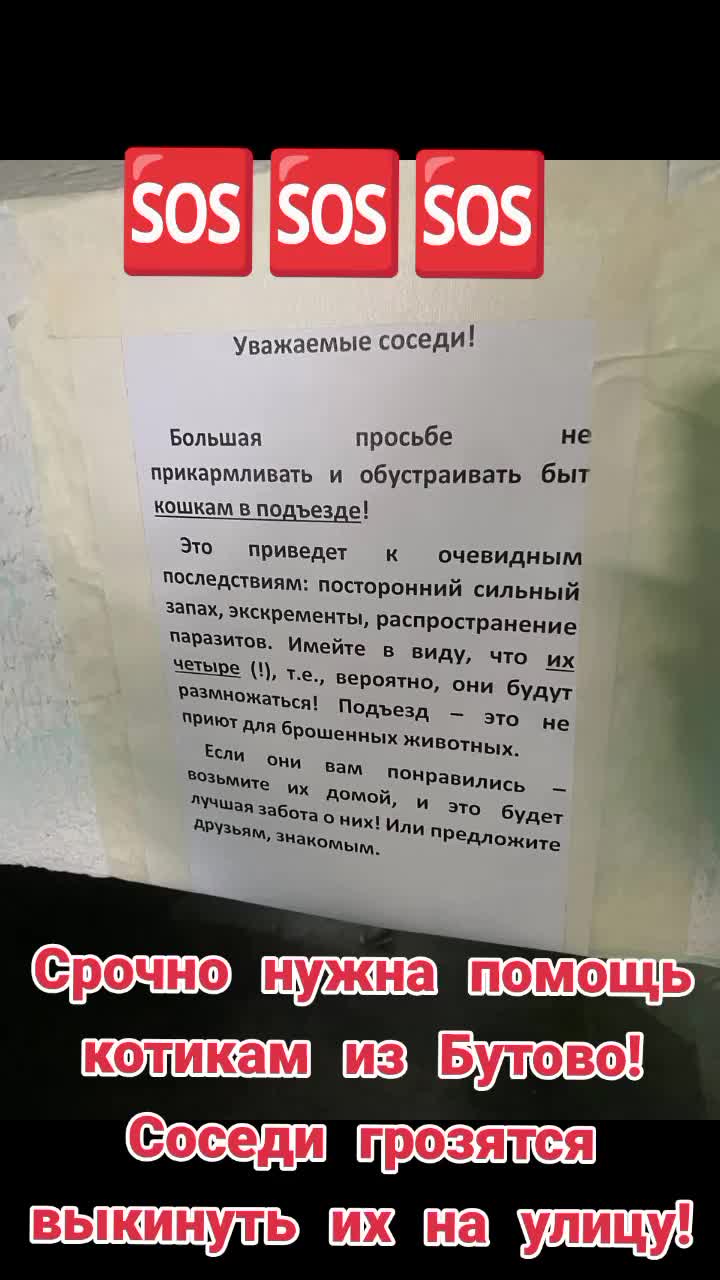 @Animals of Khimki