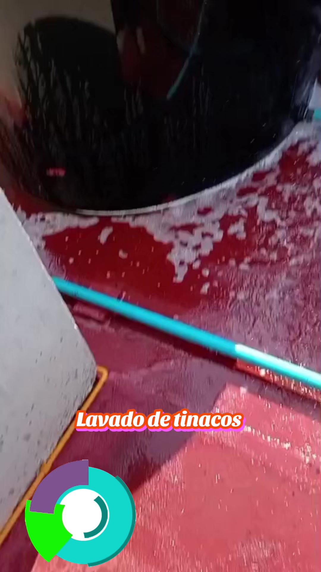 @GACEMA