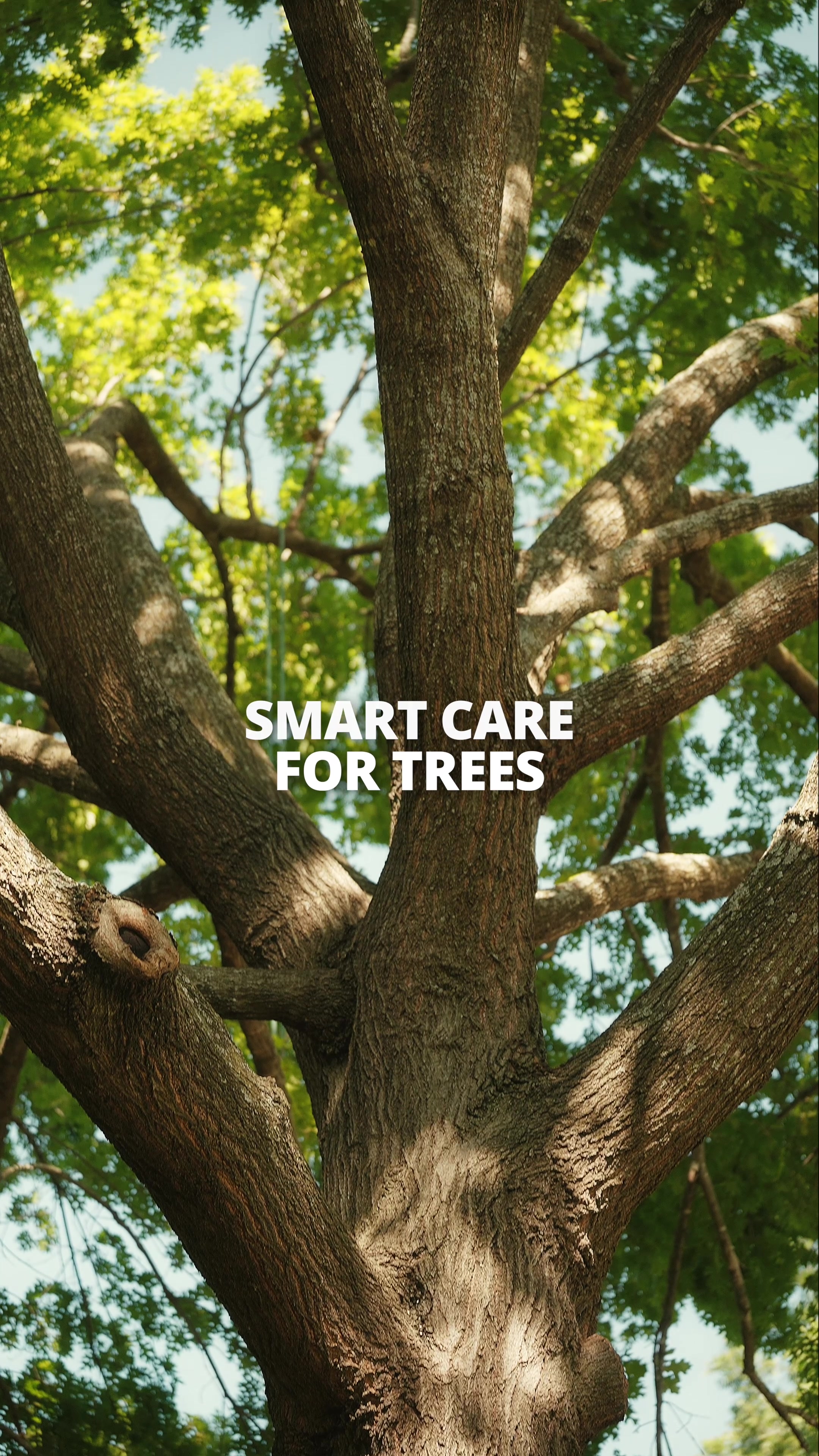 @SPTreeService