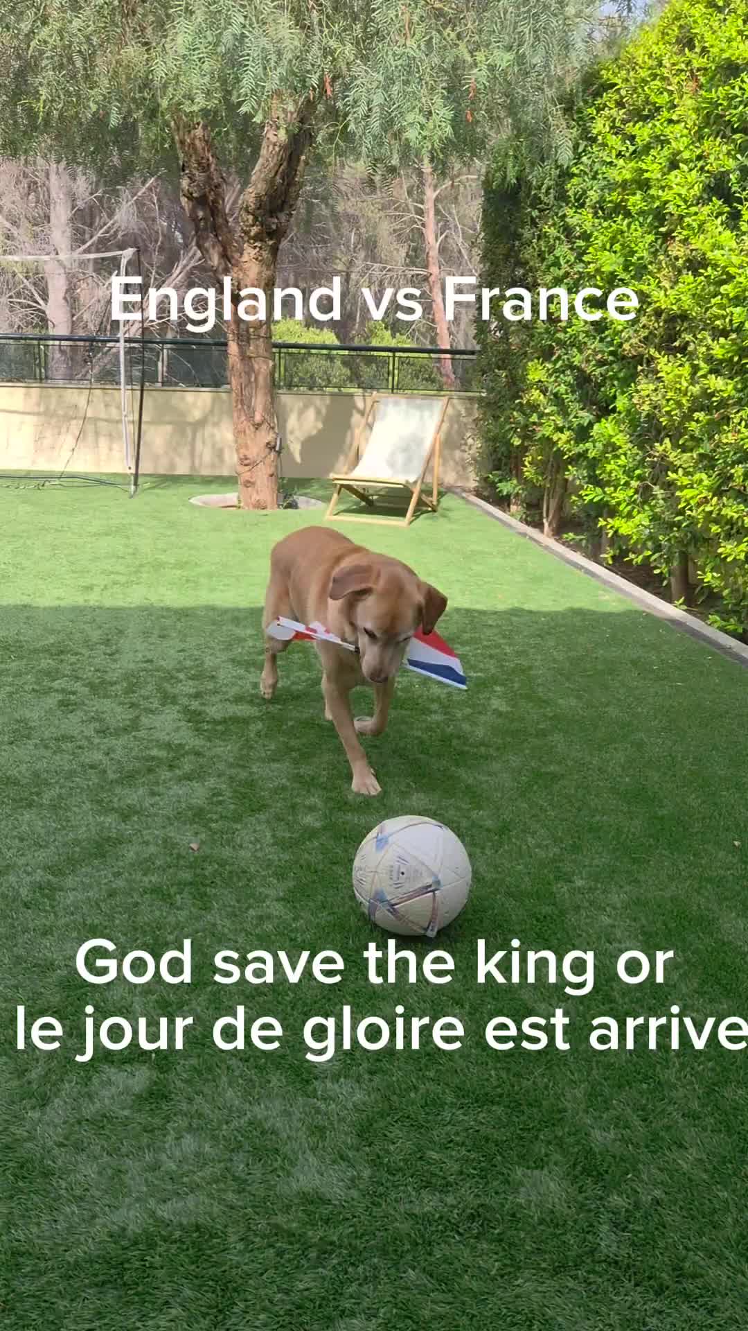 @MessiPaws