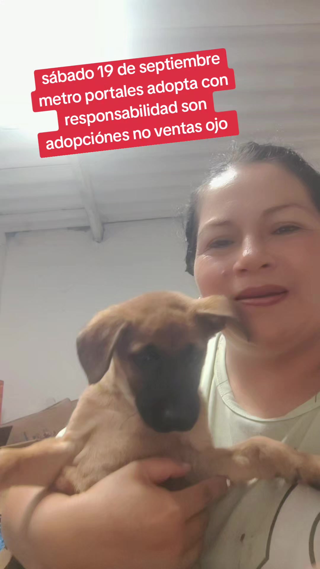 @rescate de perros guapos 😚