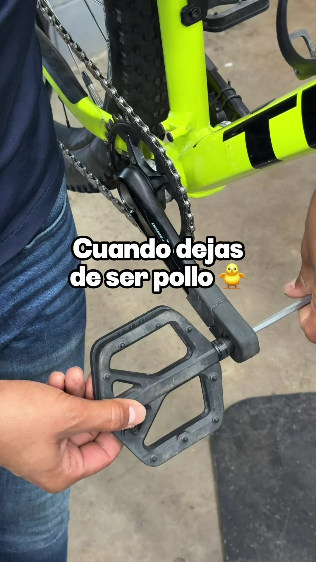 @Raudormx