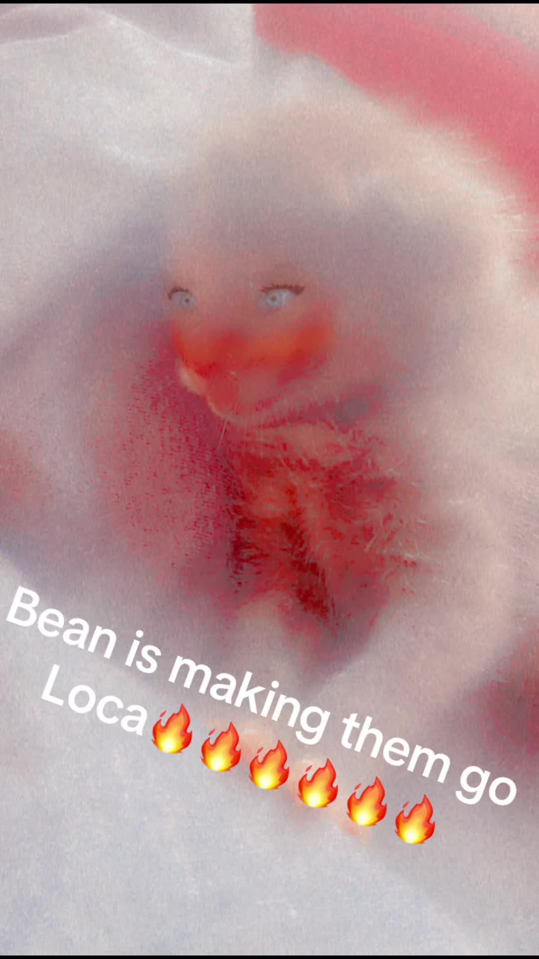@𝔡𝔢𝔩𝔦𝔩𝔞𝔥🍂