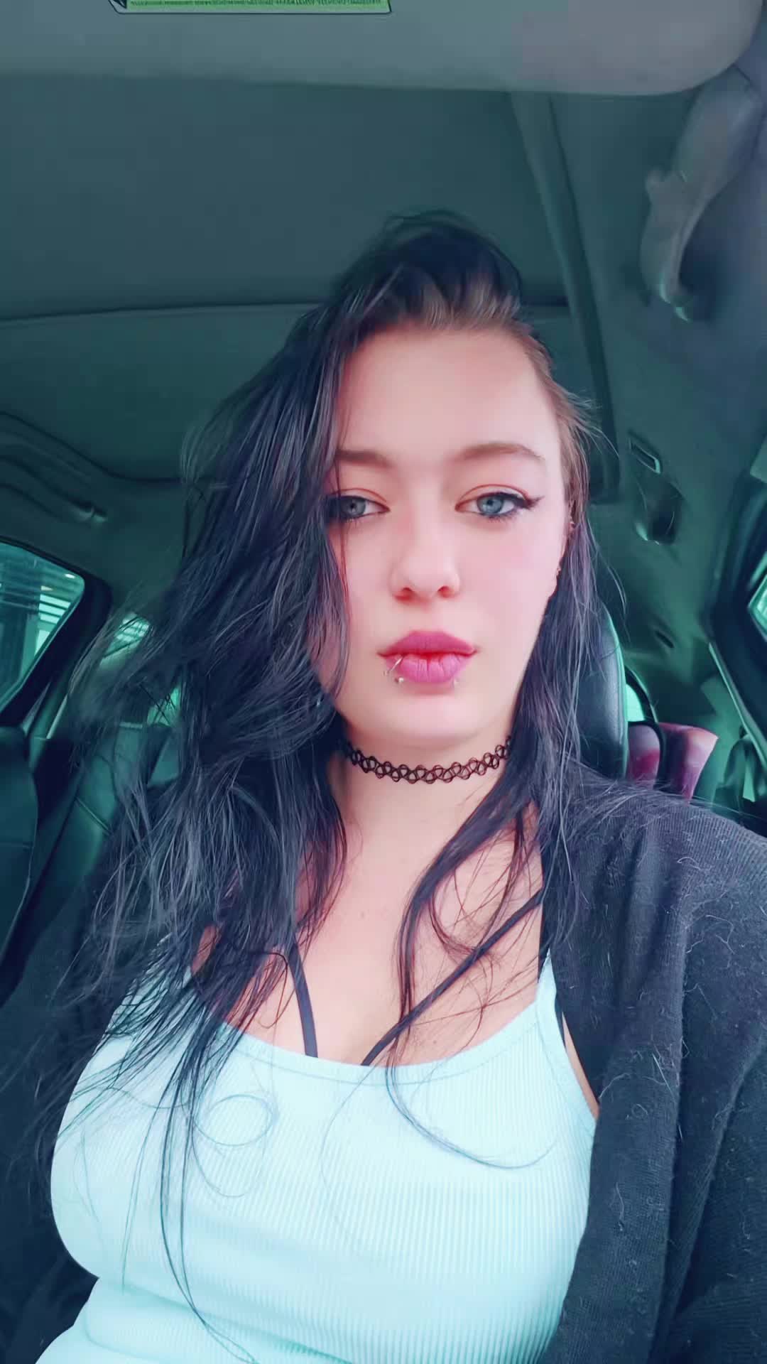@bvb_spam