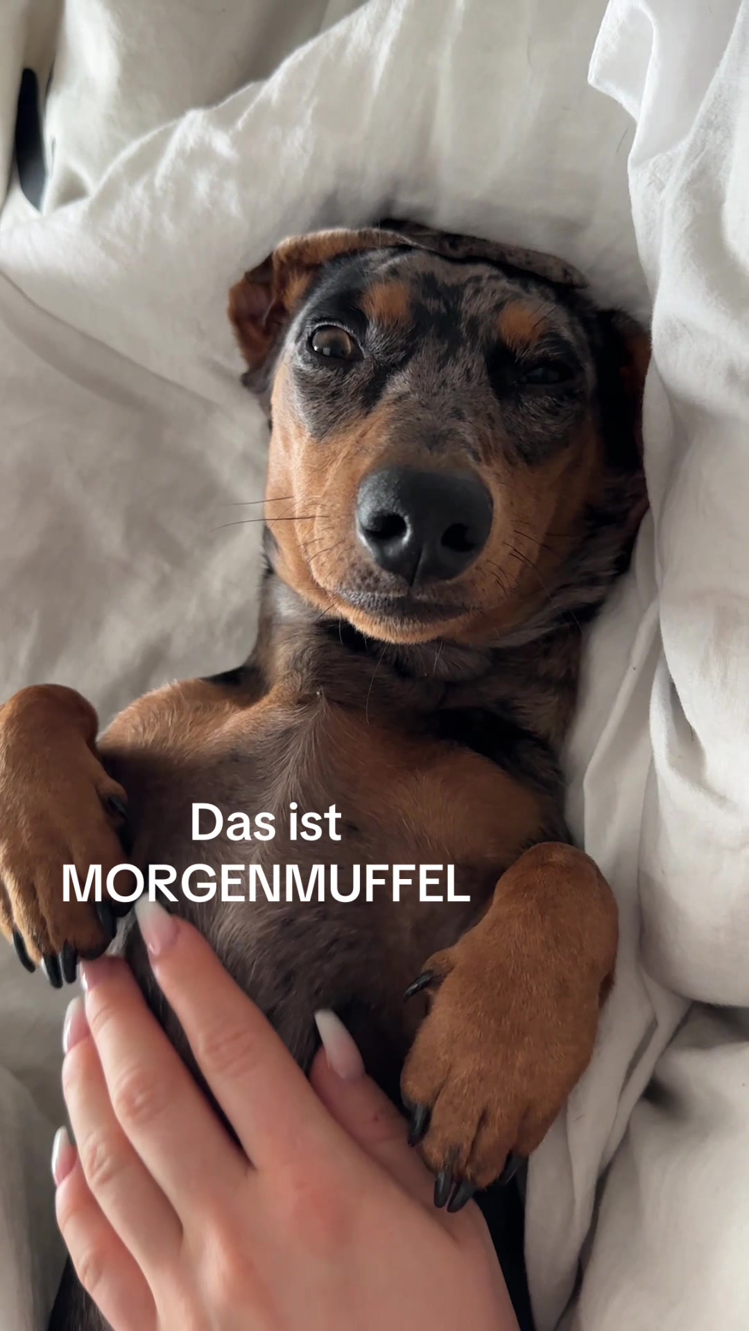 @Hugo