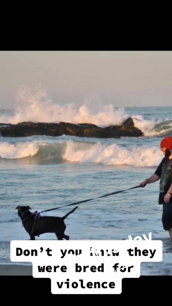 @Nova 💫 & Kairo 🐪🚐🐶