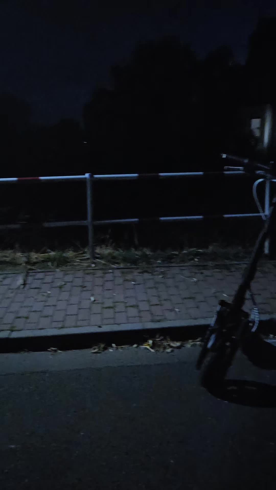 @𝕵𝖚𝖑𝖎𝖊𝖓 | 𝖅𝖙3 𝕻𝖗𝖔