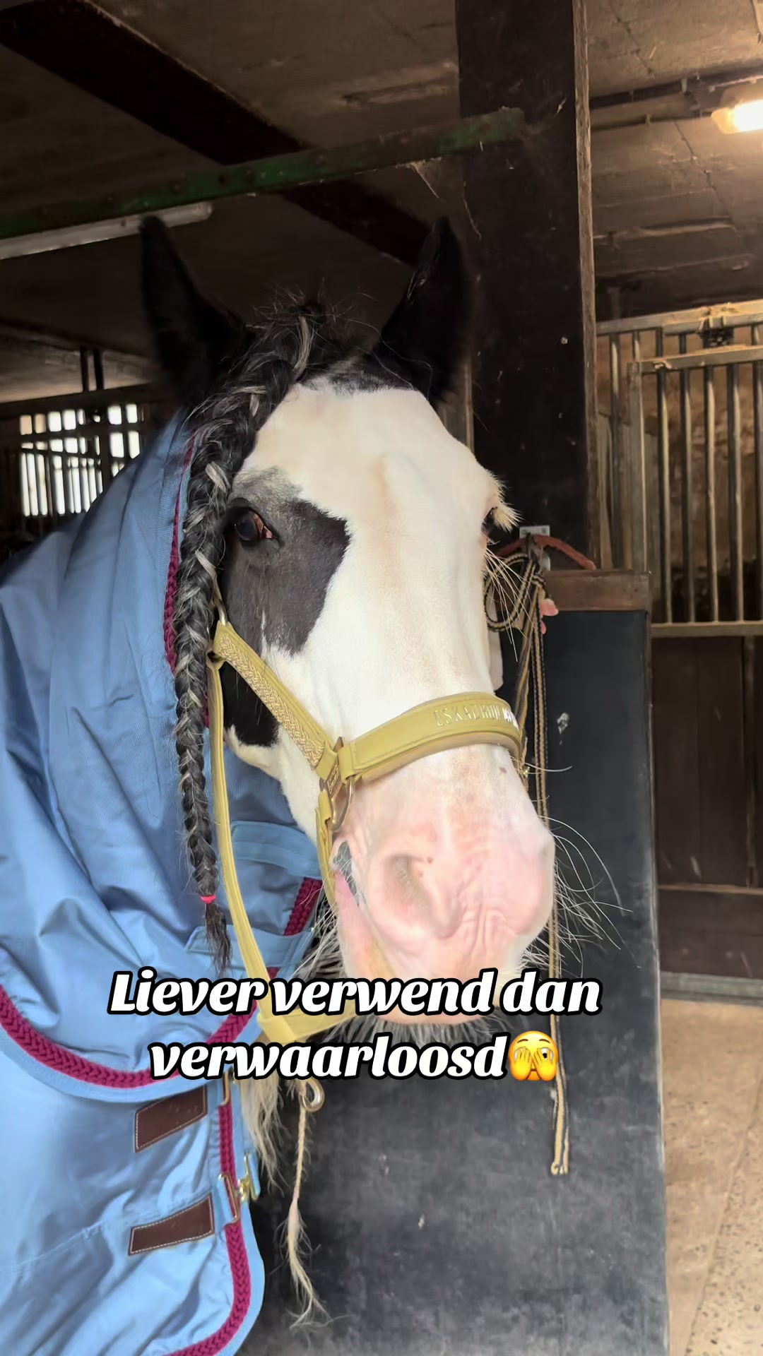 @Syrche Cordewener