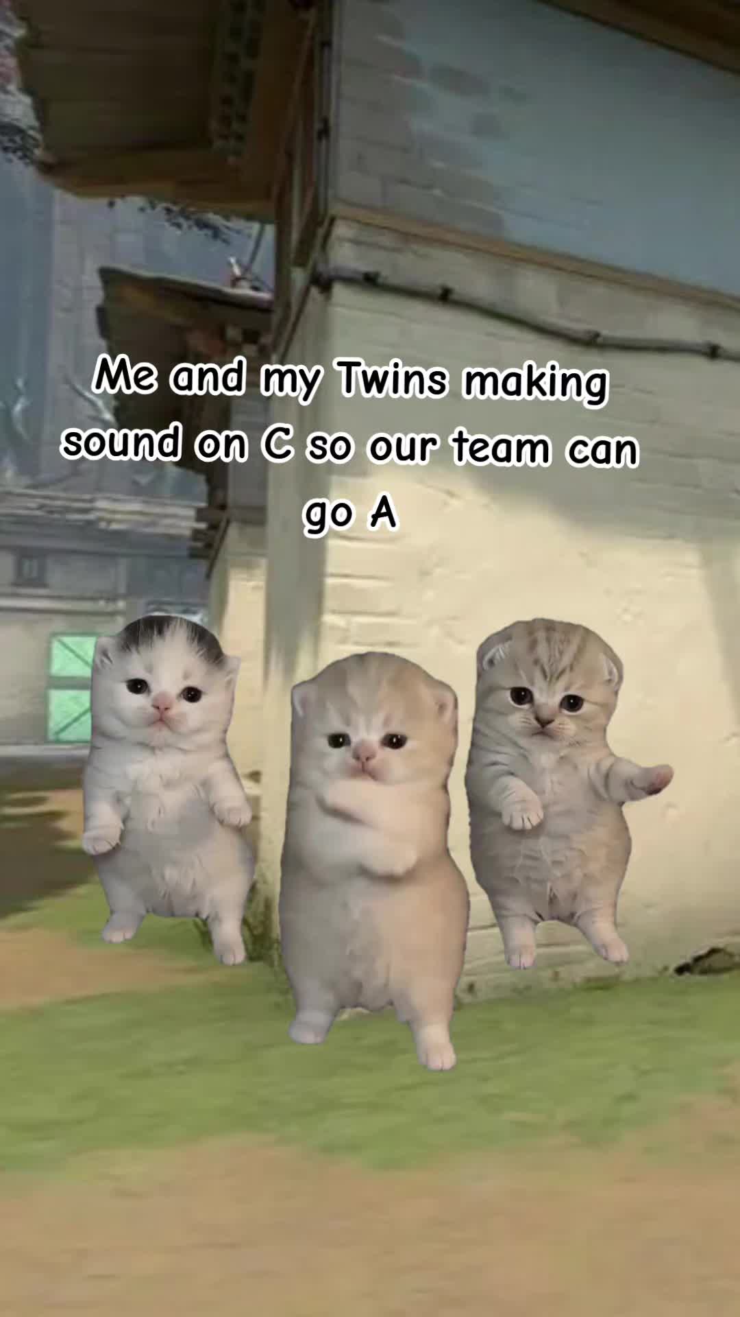@Angelzz