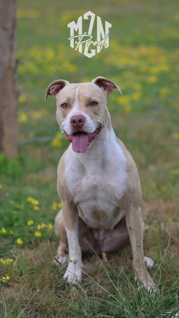 @kiara_isis_apbt