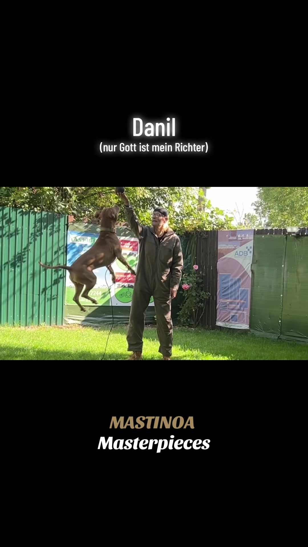 @MASTINOA pro