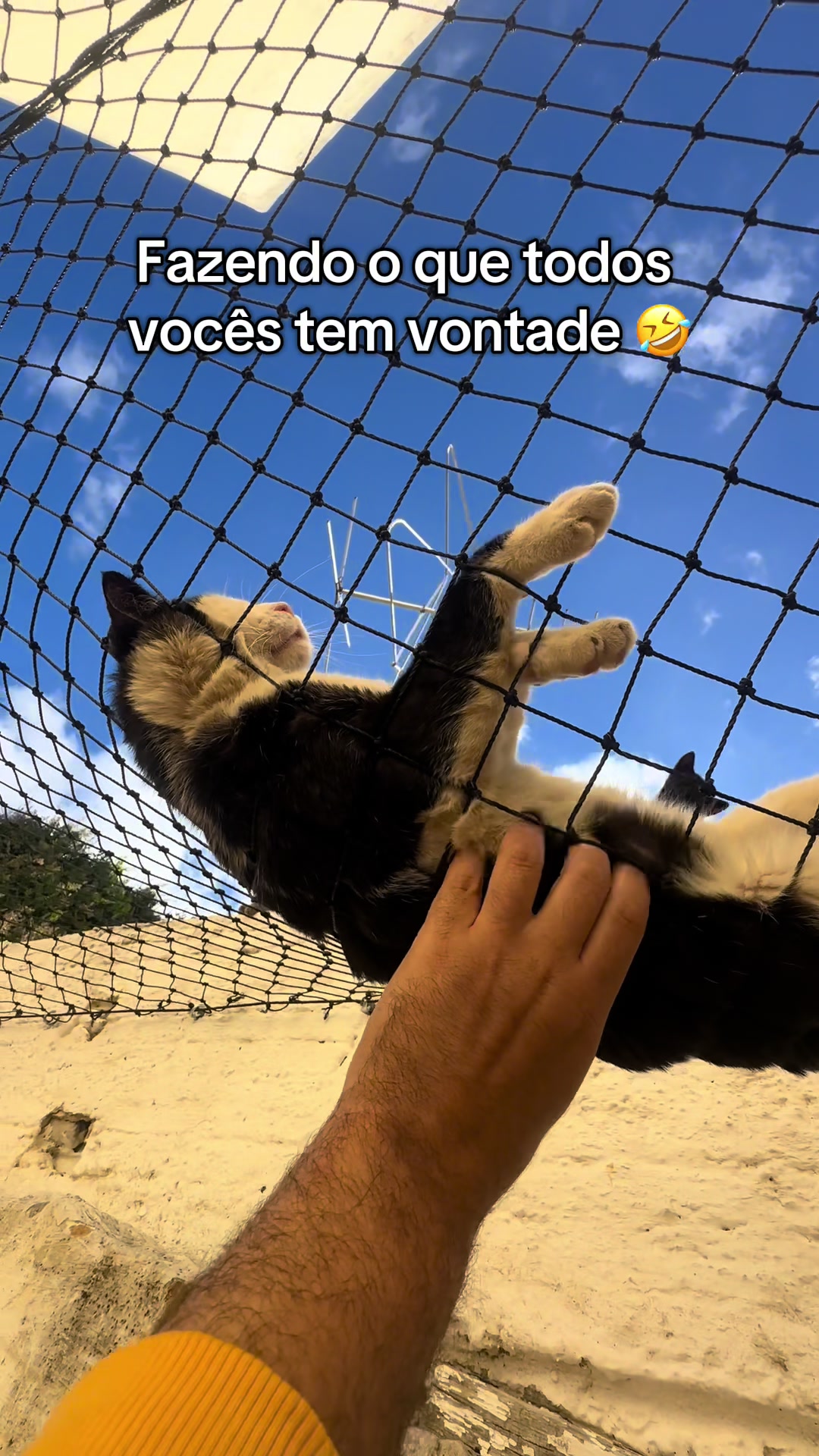 @diariodosmiaus16