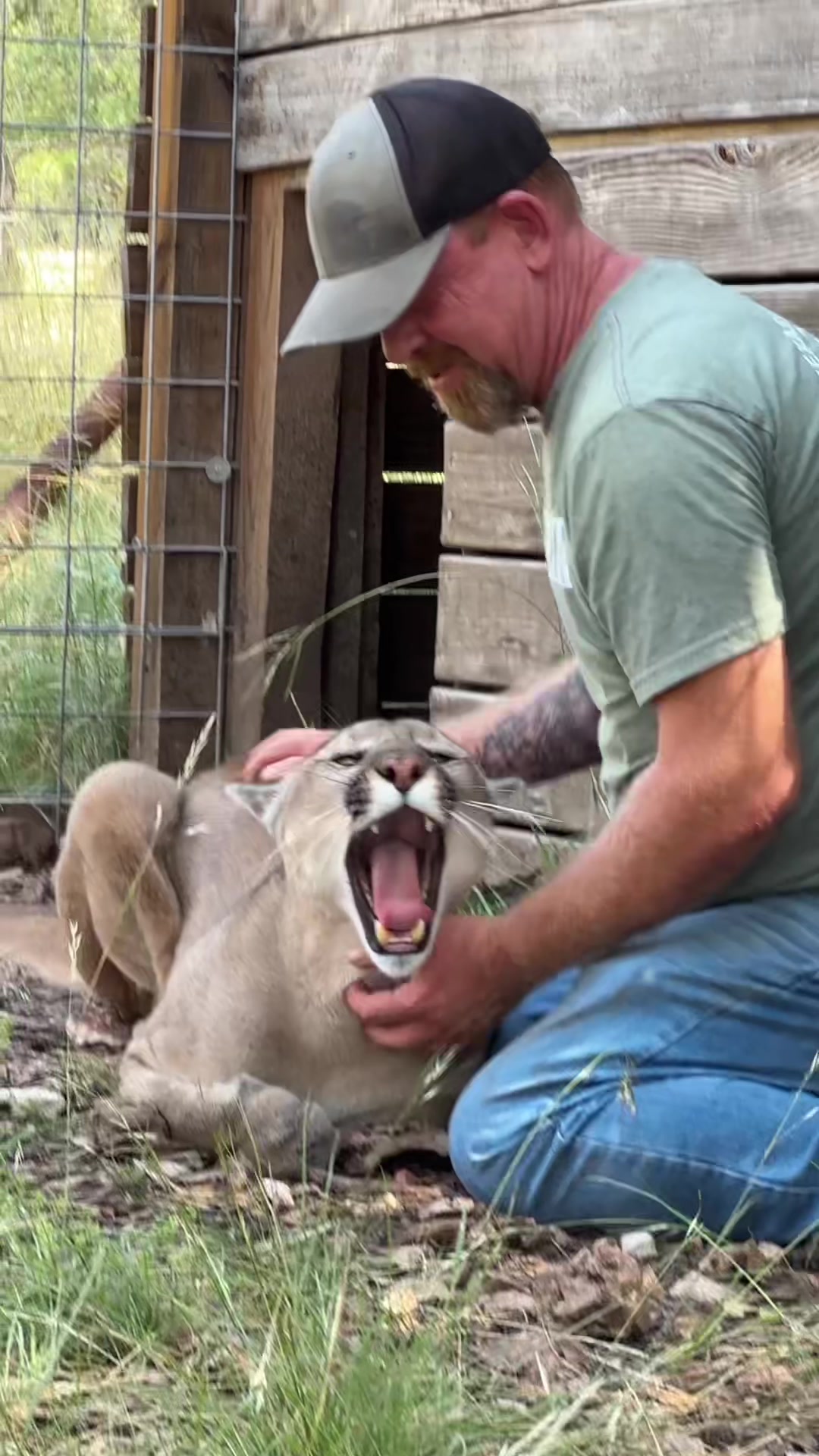 @Texas Wildlife Park
