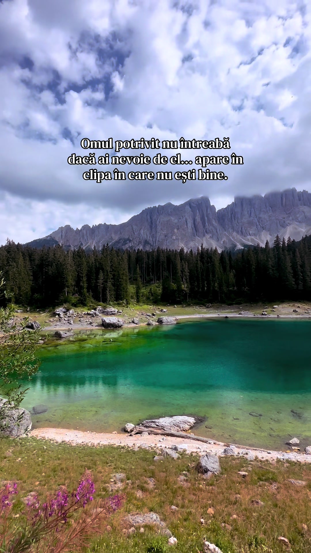 @Cătălin