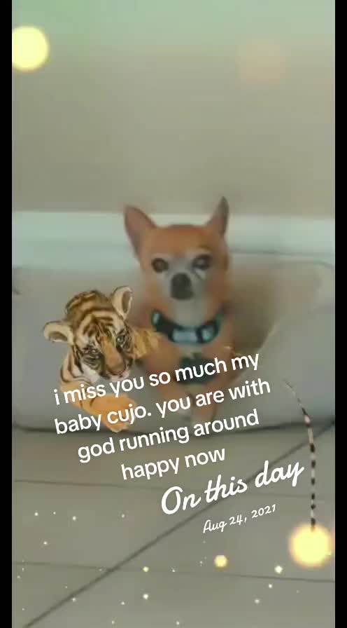 @fairy19