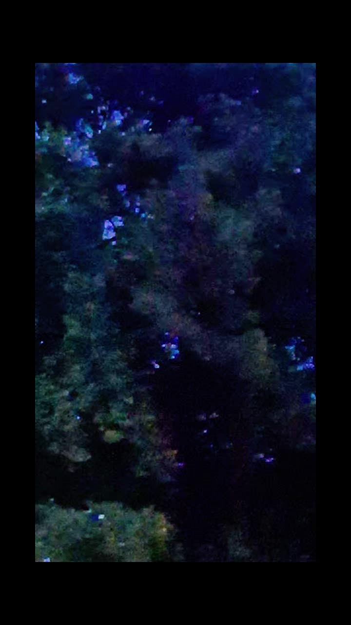 @Infiniŧy§ight
