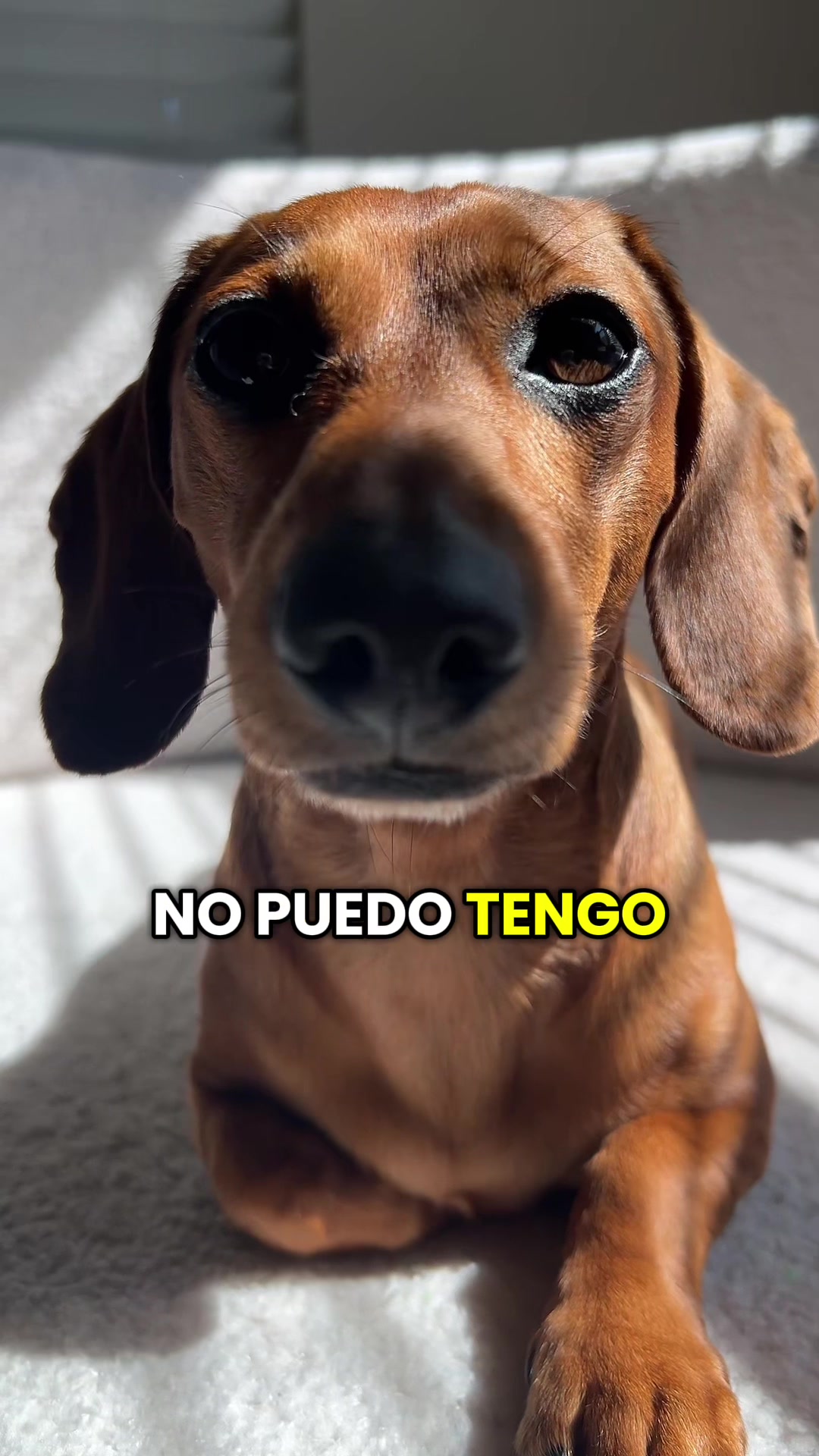 @Slinky Severus-Doo