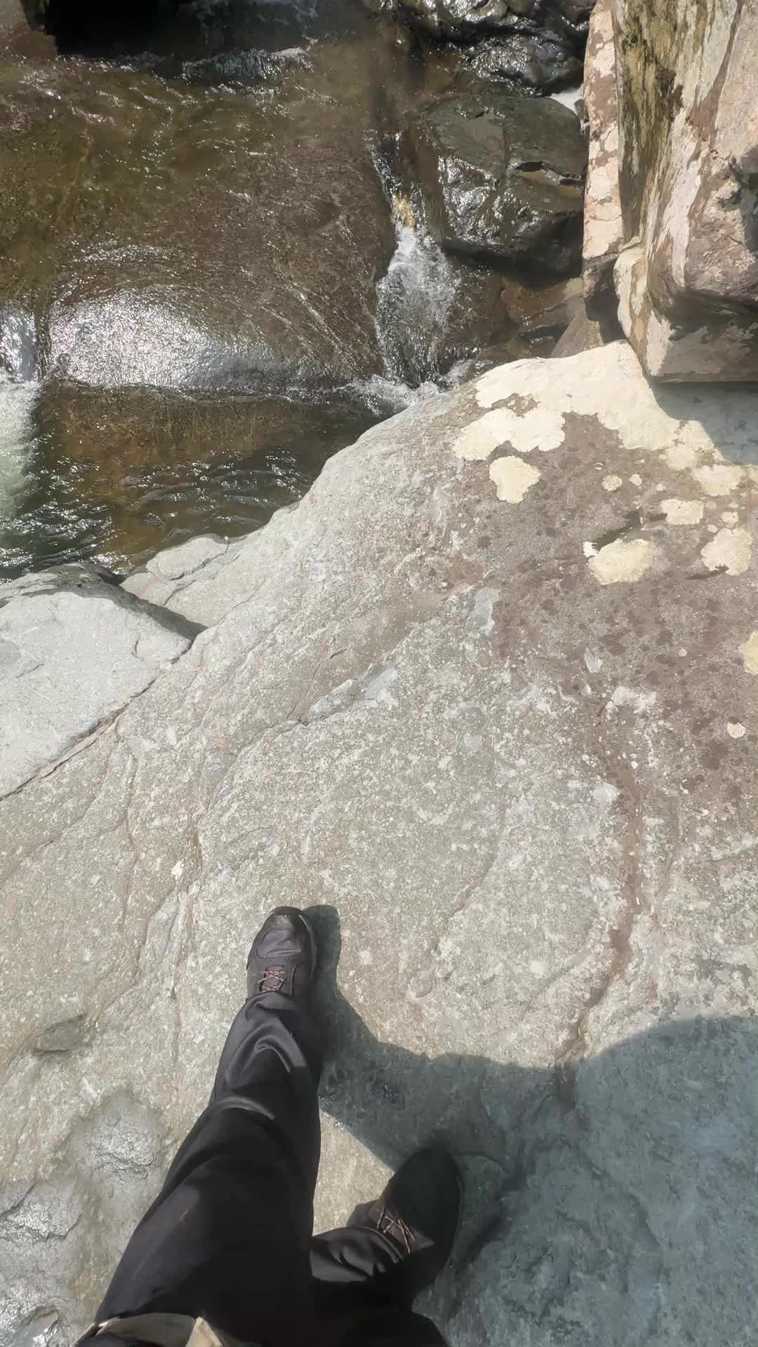 @NRRI