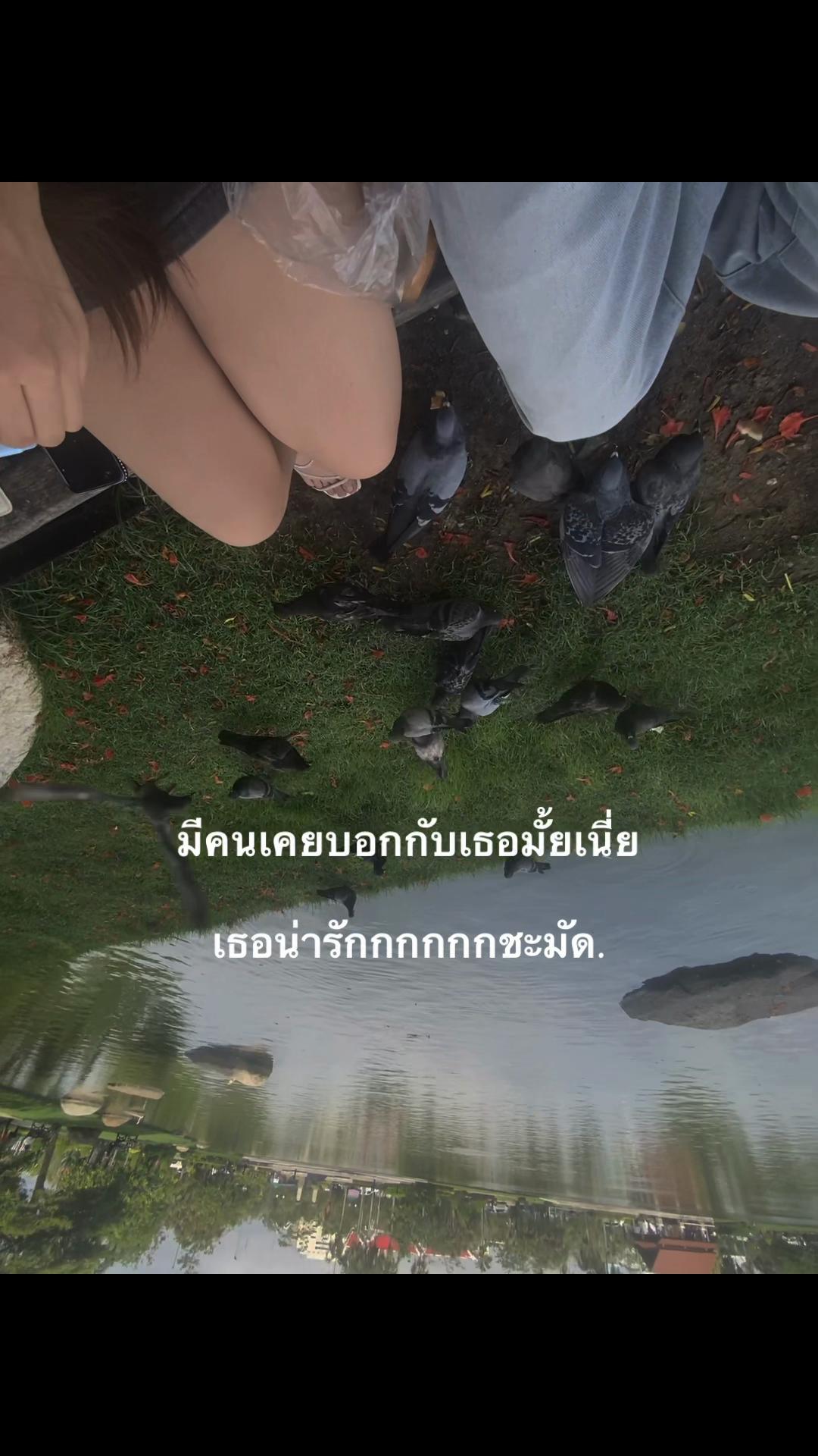 @หมาล่า (121.9K)