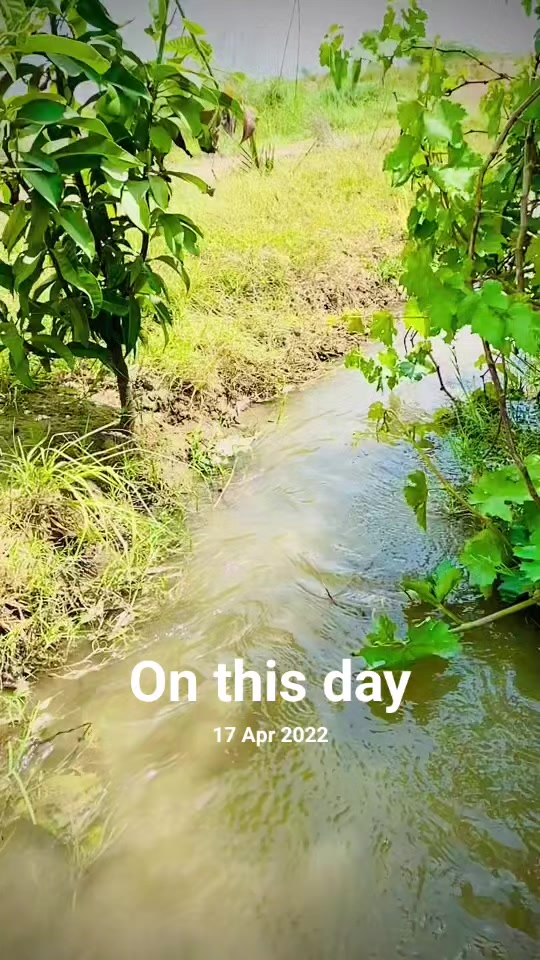 @𝐌𝐮𝐡𝐚𝐦𝐦𝐚𝐝 𝐀𝐥𝐢