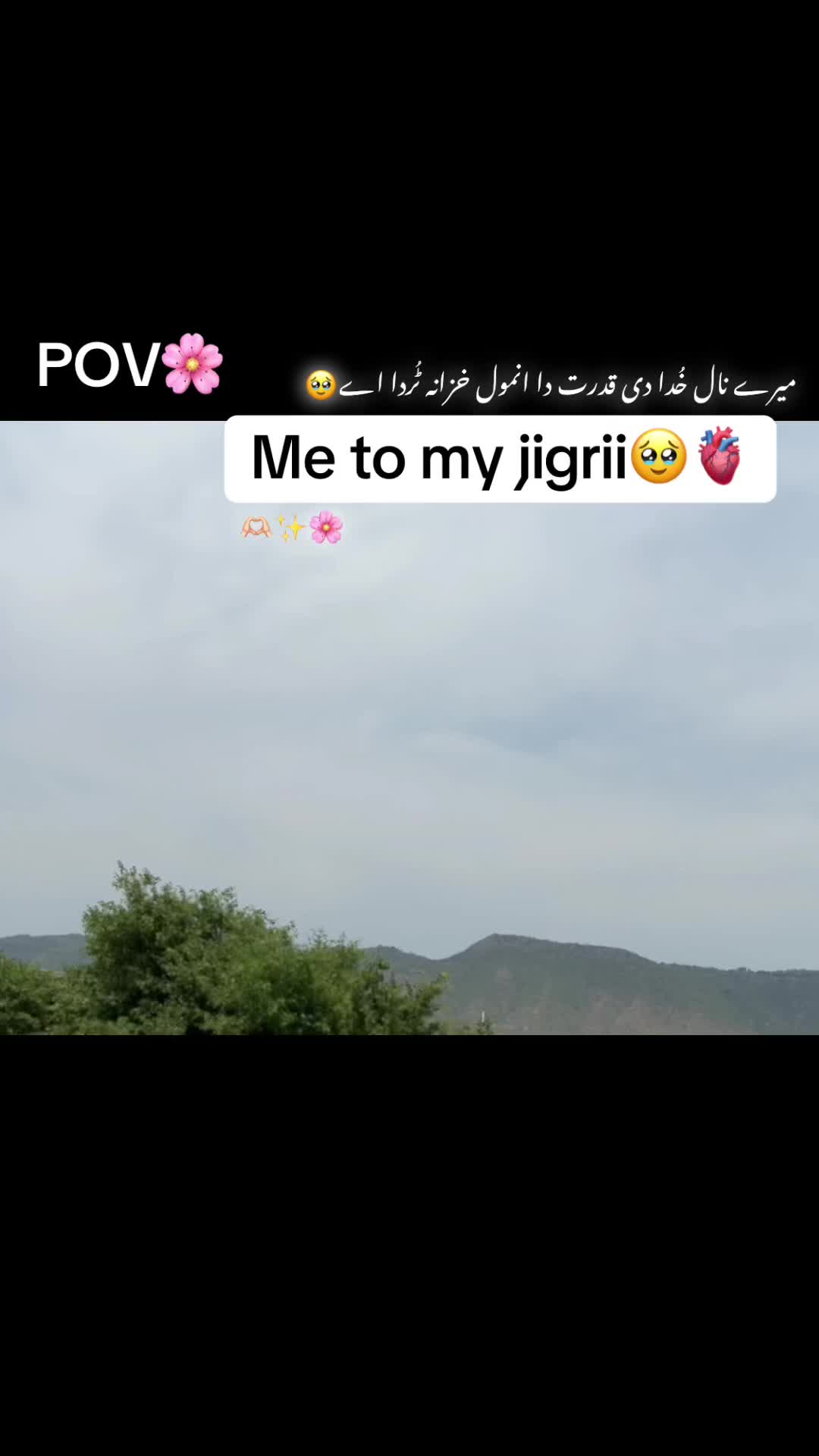 @Punjabi On 🔝