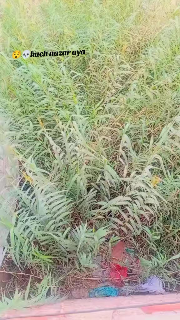 @💫والی سندھی ✌️😉🚩
