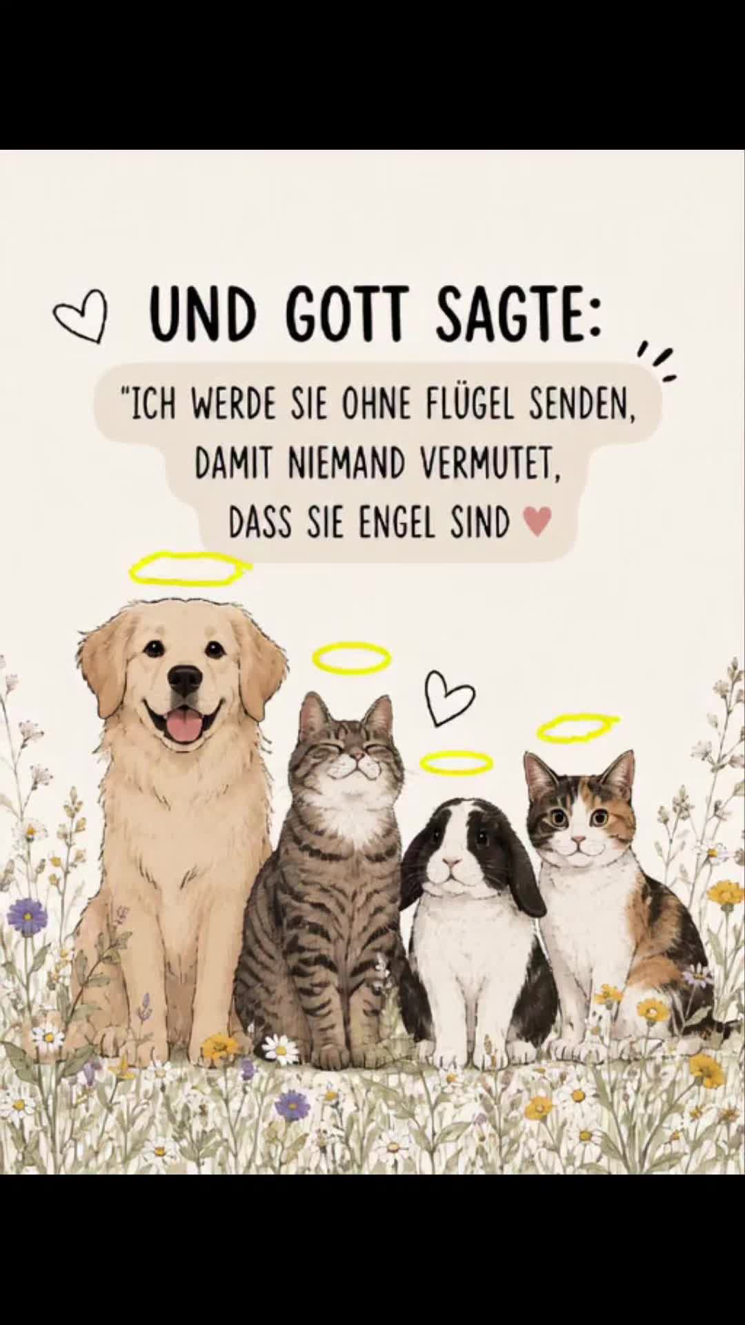 @Kay aus Berlin 🇩🇪
