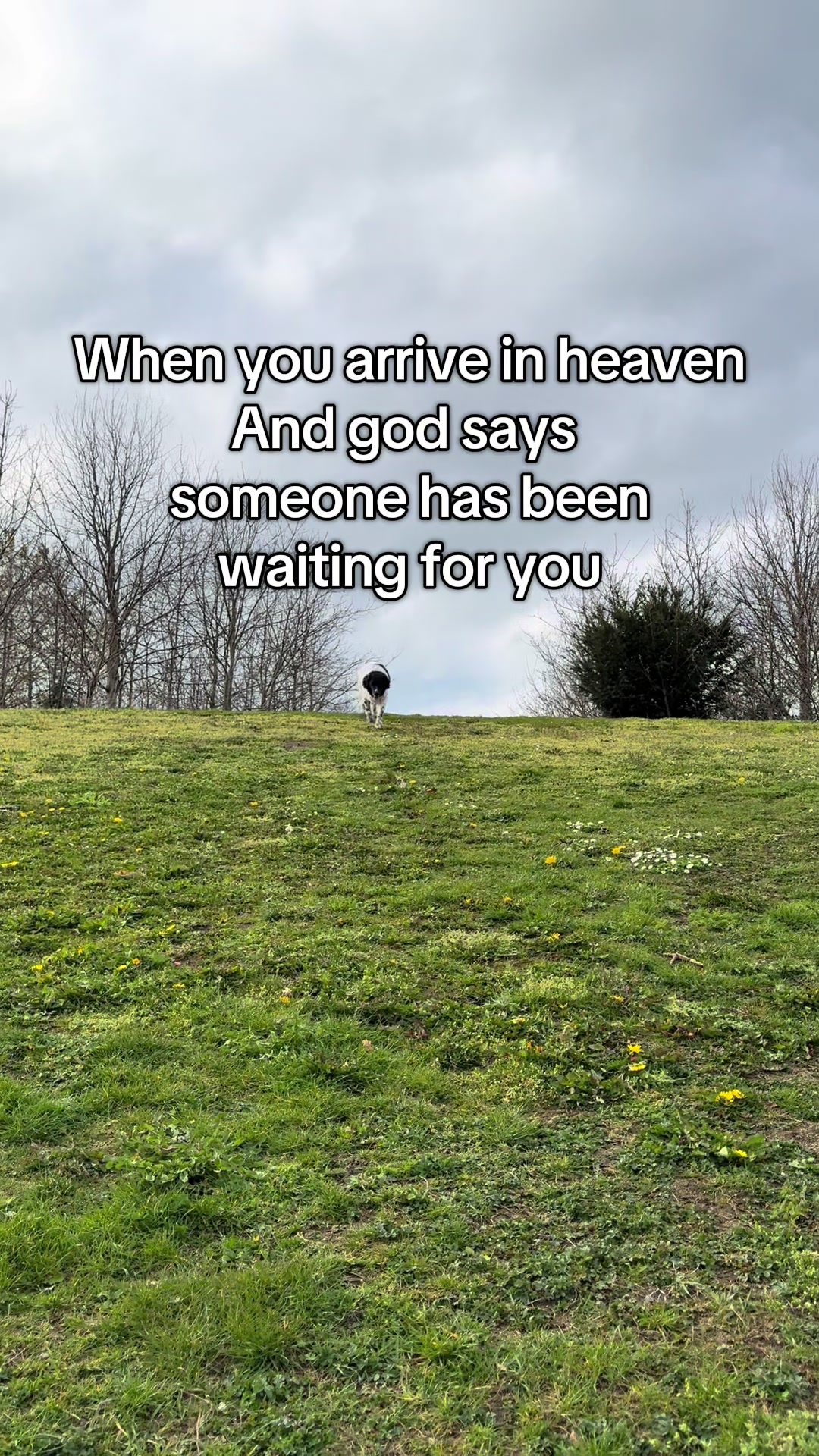 @Marijn Roos
