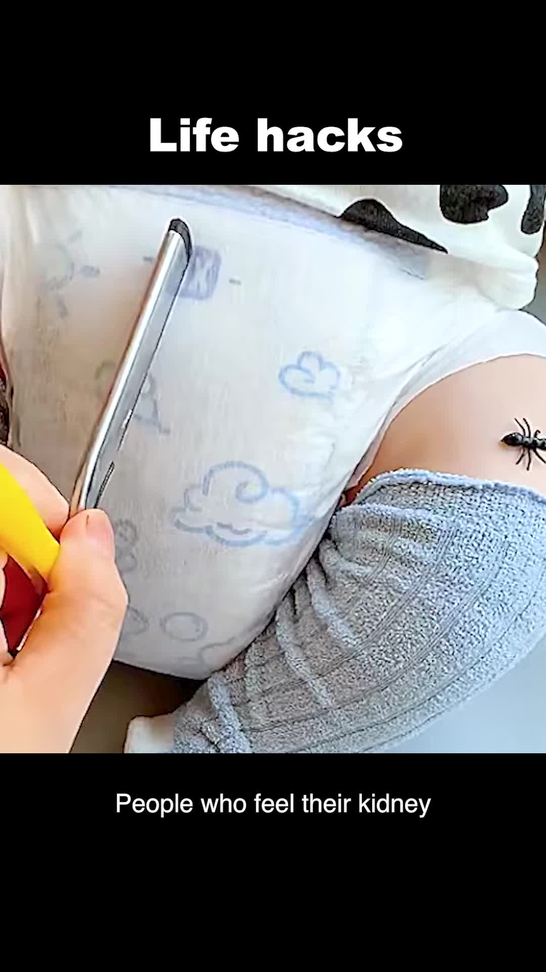 @lordlyhaye